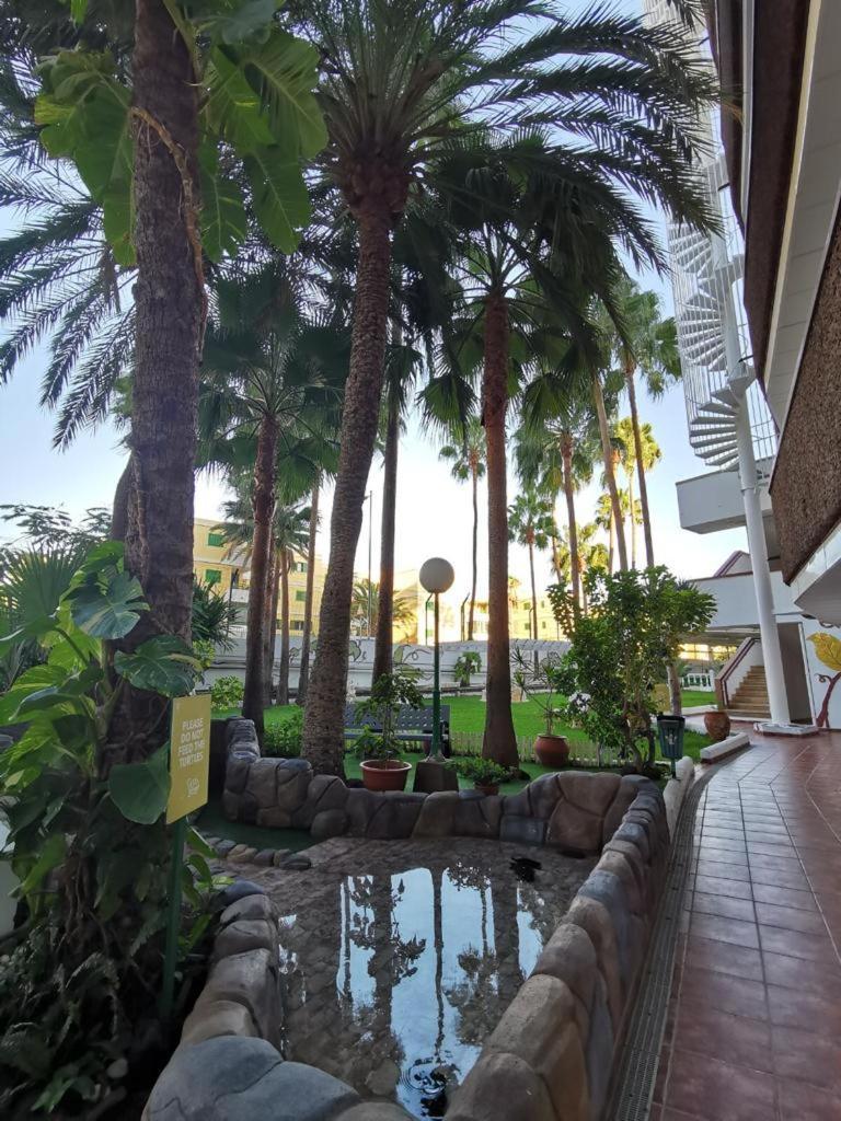 Vanilla Milkshake Apartment 普拉亚戴尔雷安格莱斯 外观 照片